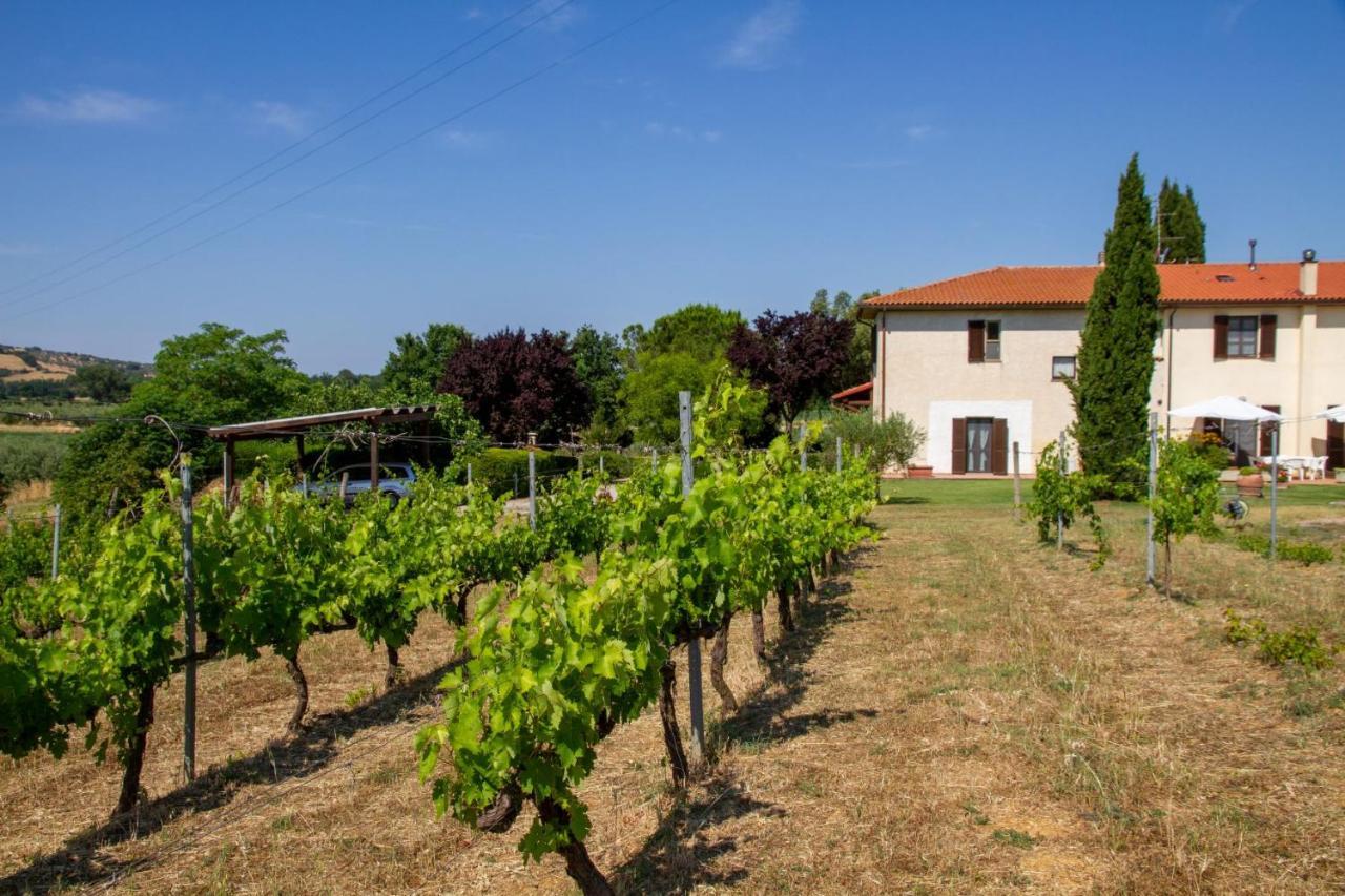 Farm stay Il Poggiolo *